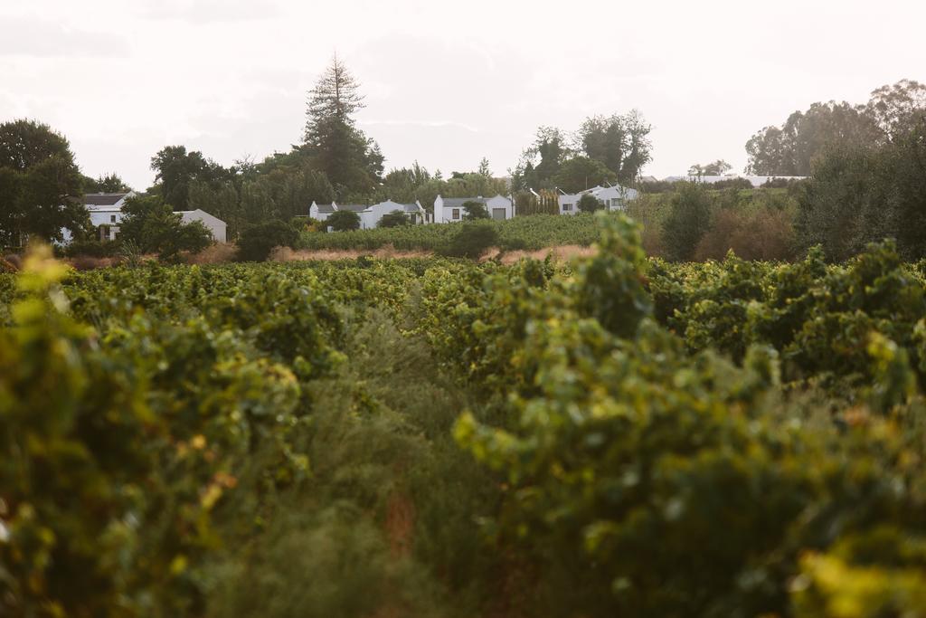 Leipzig Country House & Winery Nuy エクステリア 写真